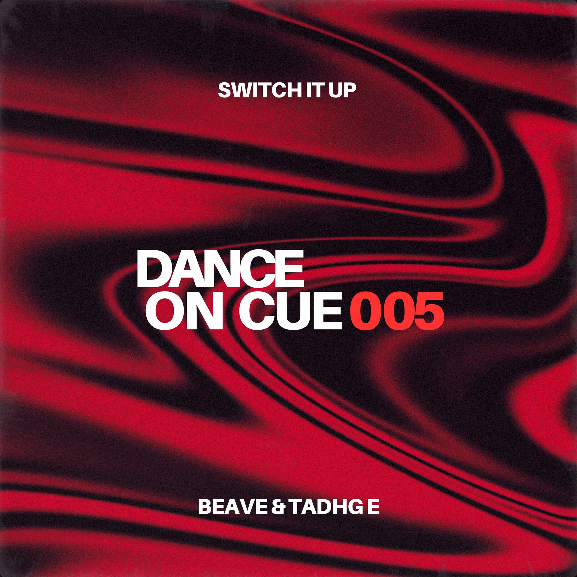 Album cover of SWITCH IT UP