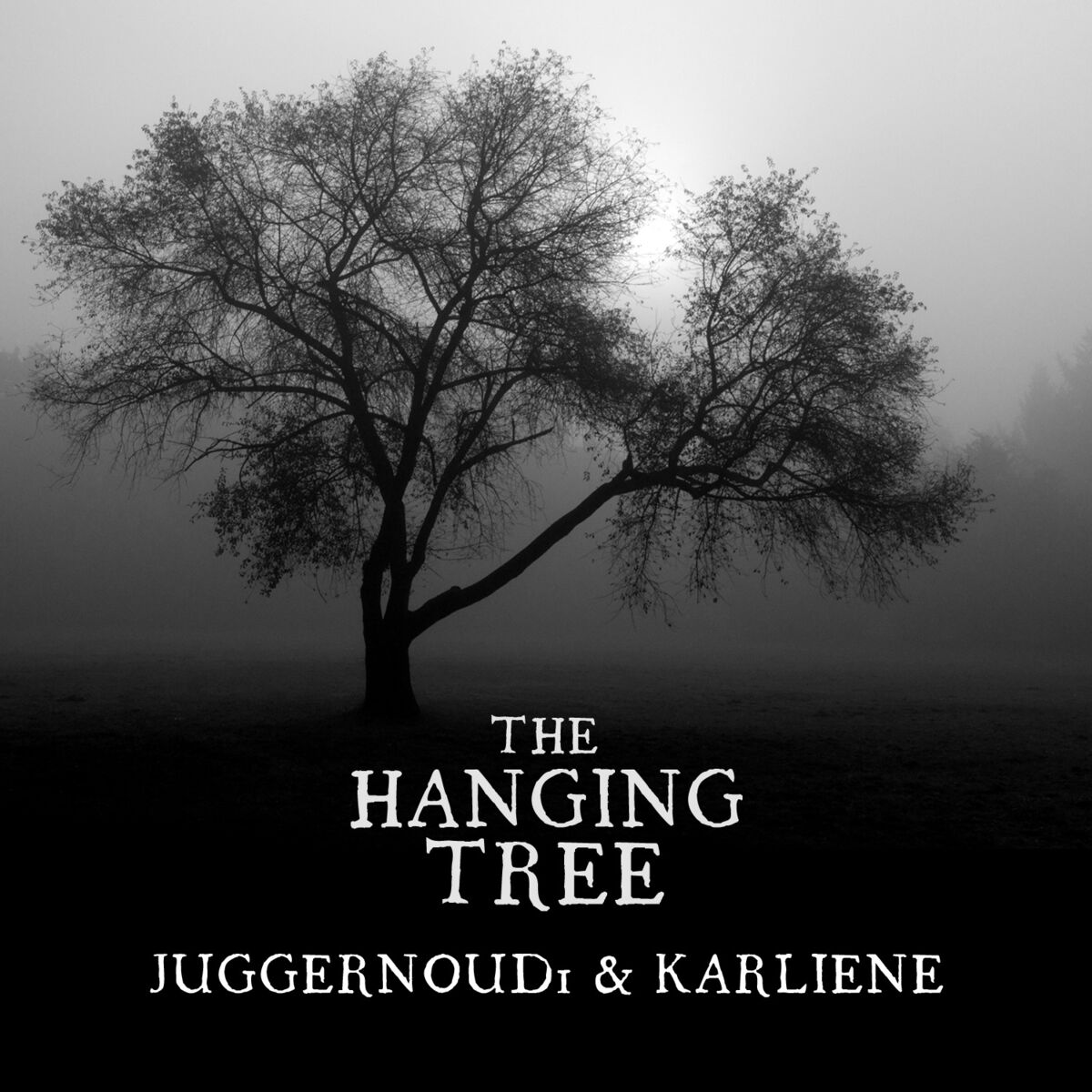 Album cover of The Hanging Tree (Duet)