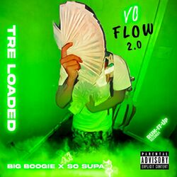 Cover of Vo Flow 2.0