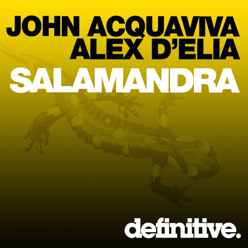 Picture of Salamandra
