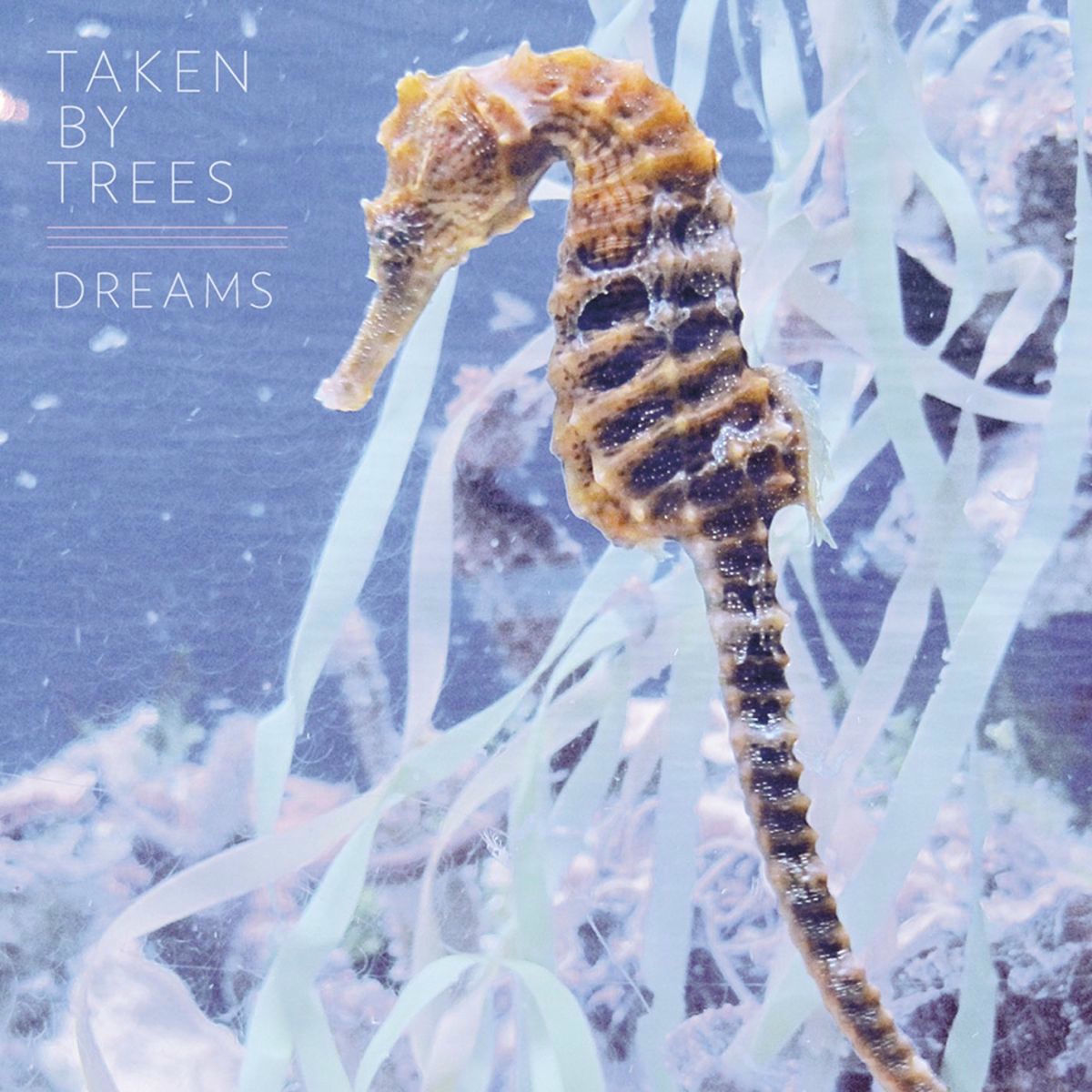 Album cover of Dreams