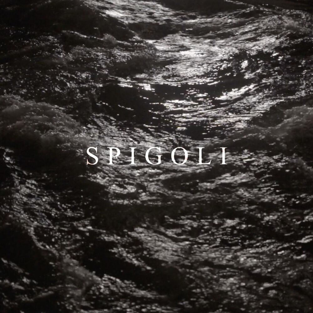 Picture of Spigoli (feat. Franco126 & Ugo Borghetti)