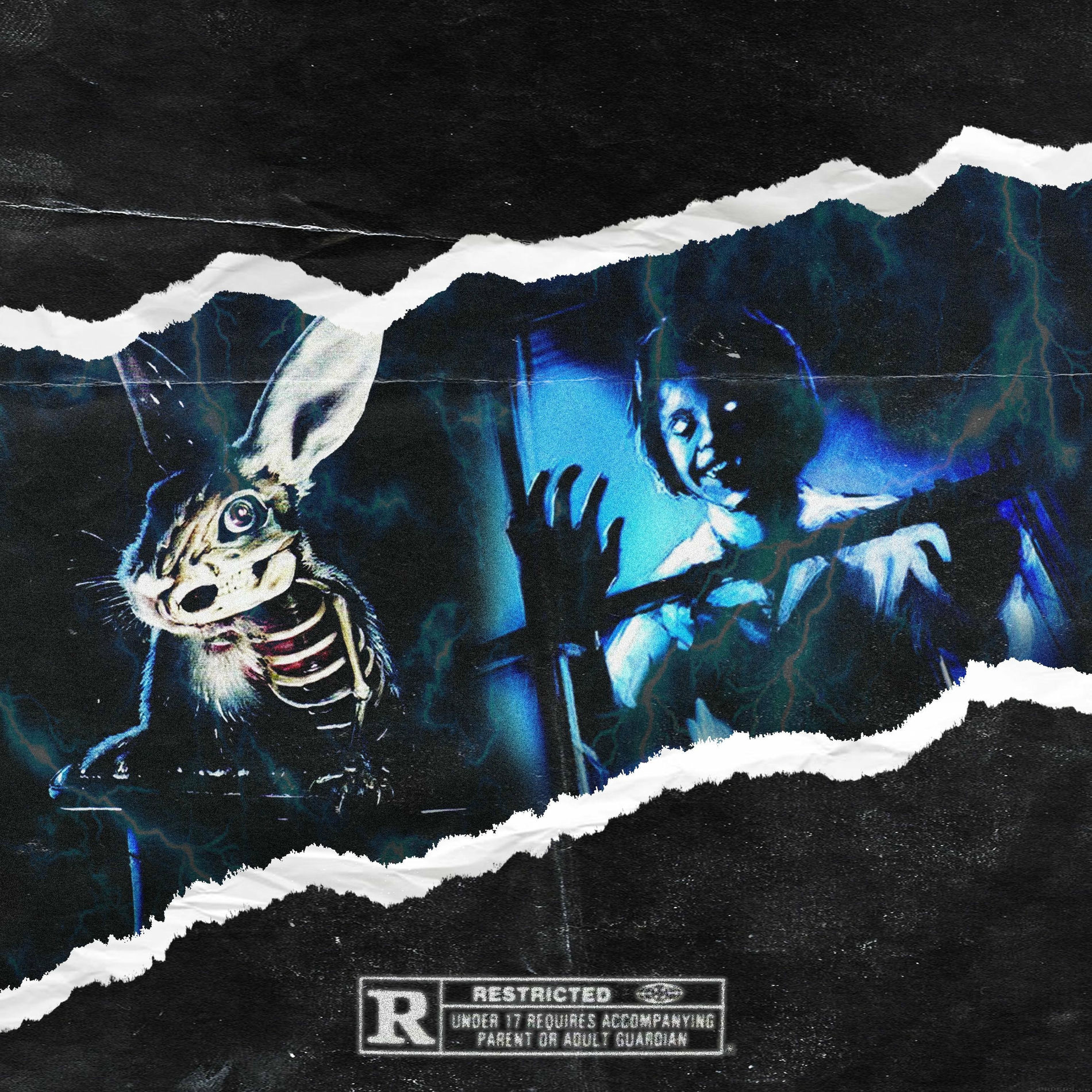 Album cover of DECAY