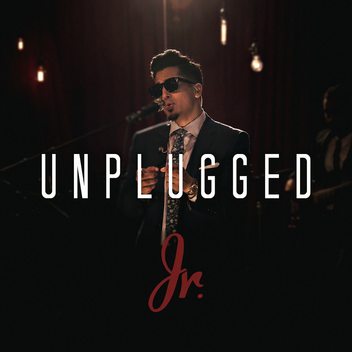 Album cover of Unplugged
