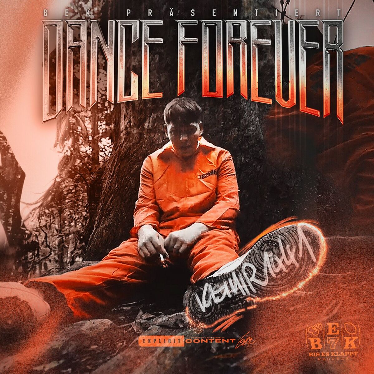Album cover of Dance Forever