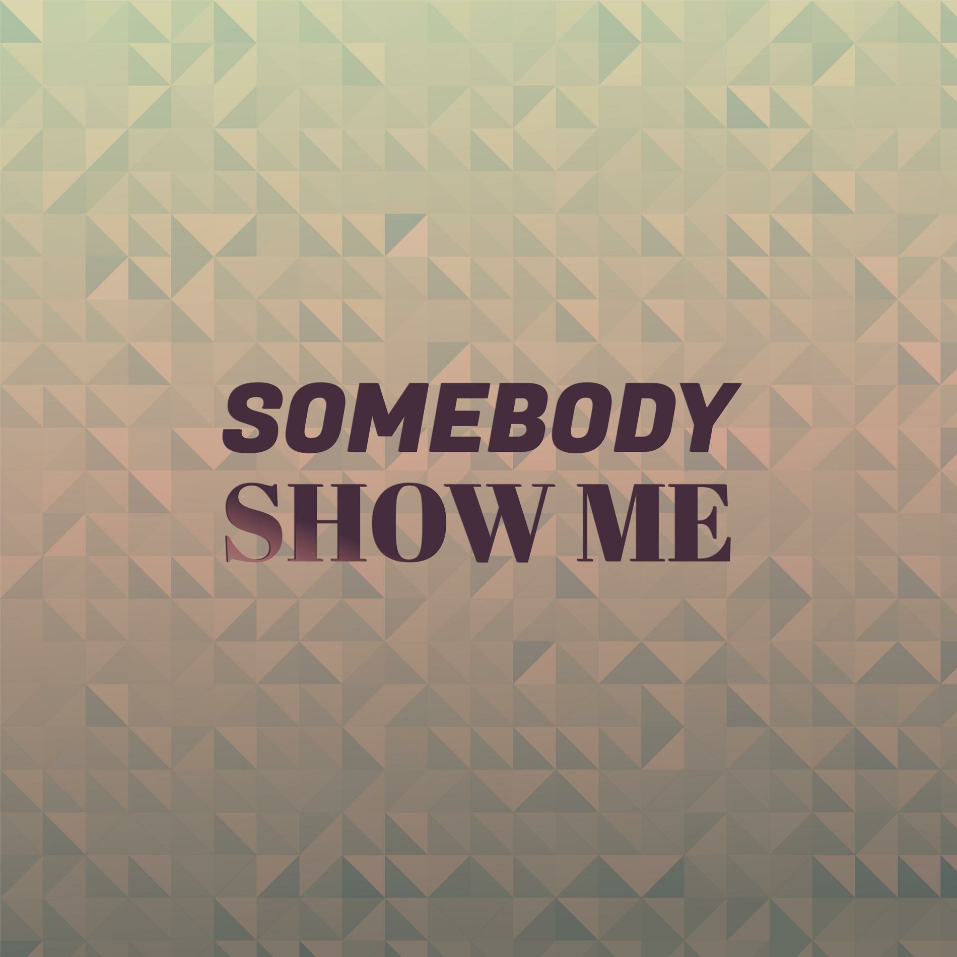 Album cover of Somebody Show Me