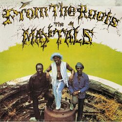 Cover of From the Roots