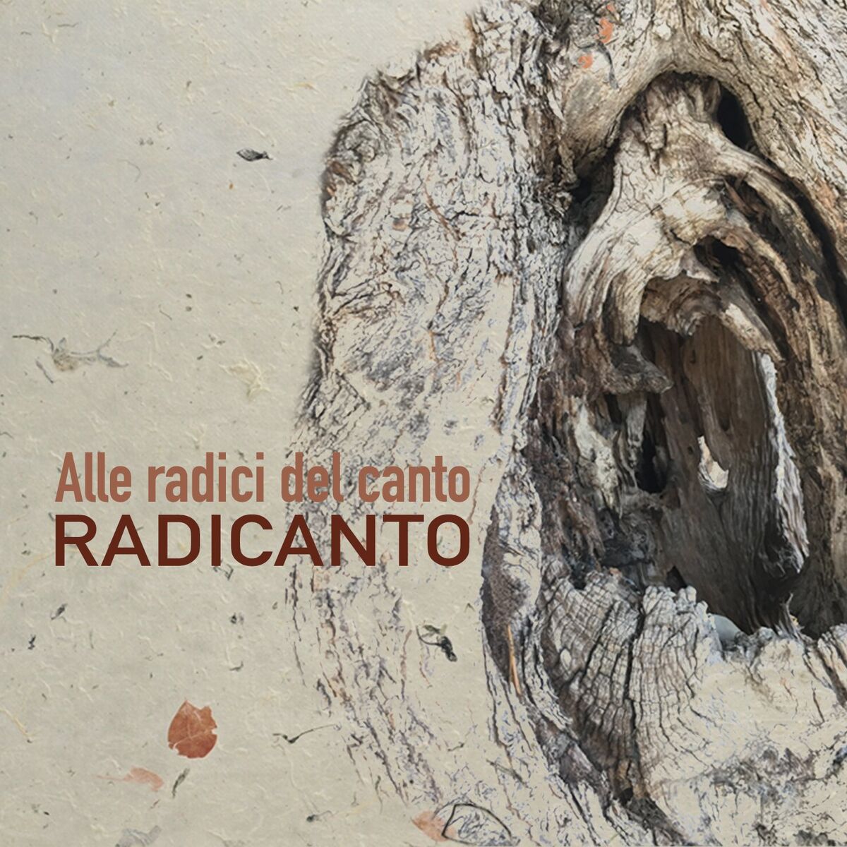 Album cover of Alle radici del canto
