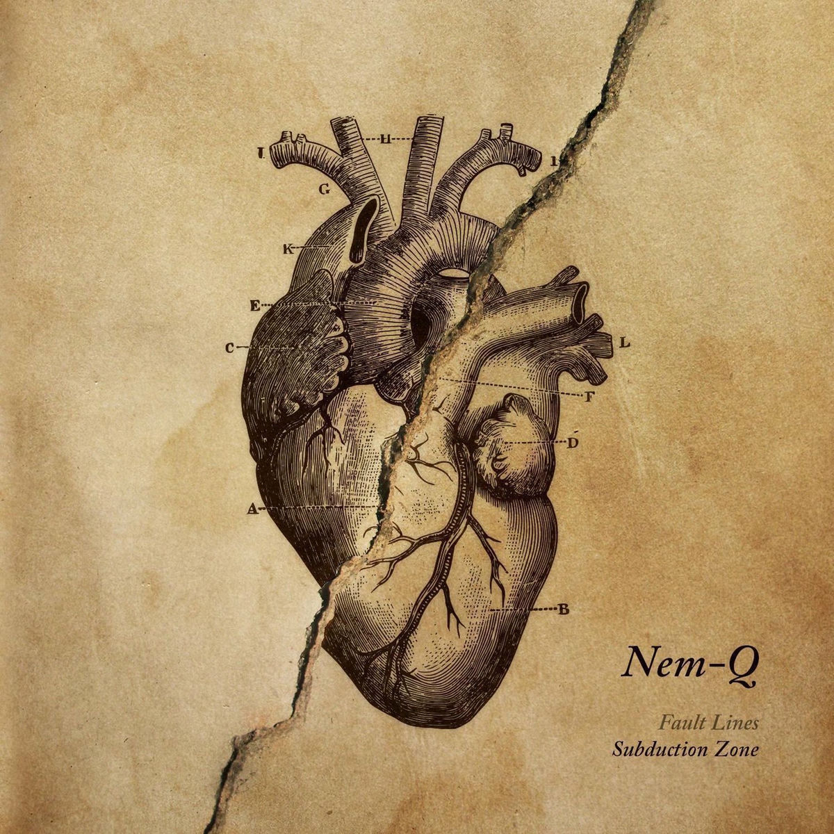 Album cover of Fault Lines (Subduction Zone)