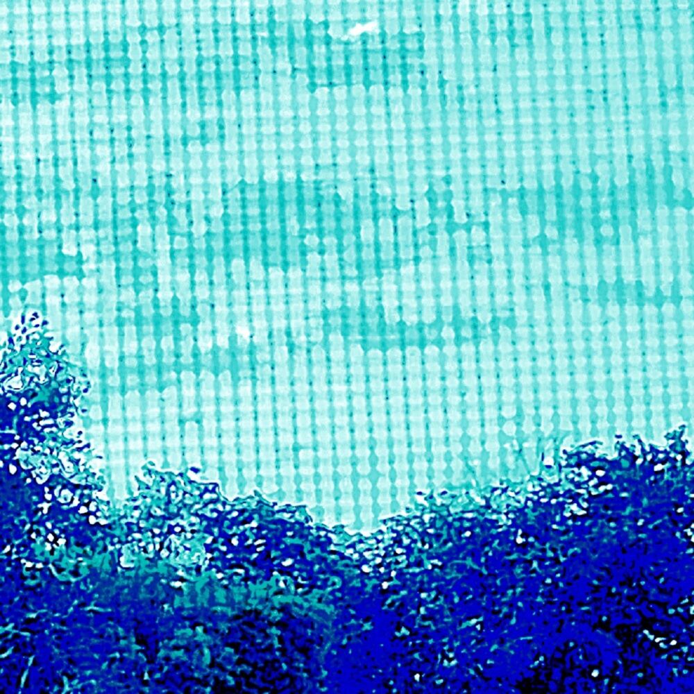 Picture of Dusk To Dust
