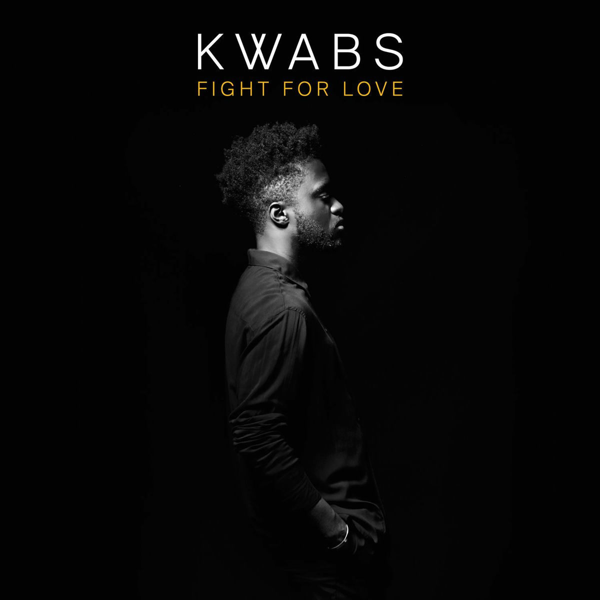 Album cover of Fight for Love (Blonde Remix)