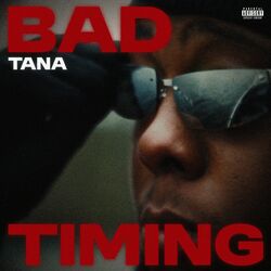 Cover of Bad Timing