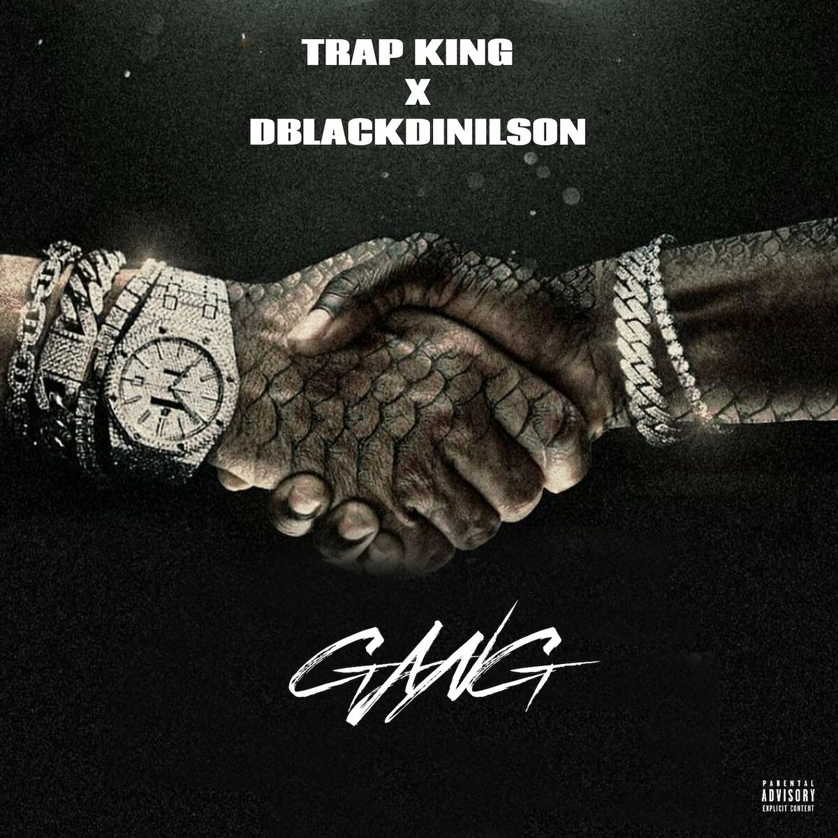 Album cover of Gang