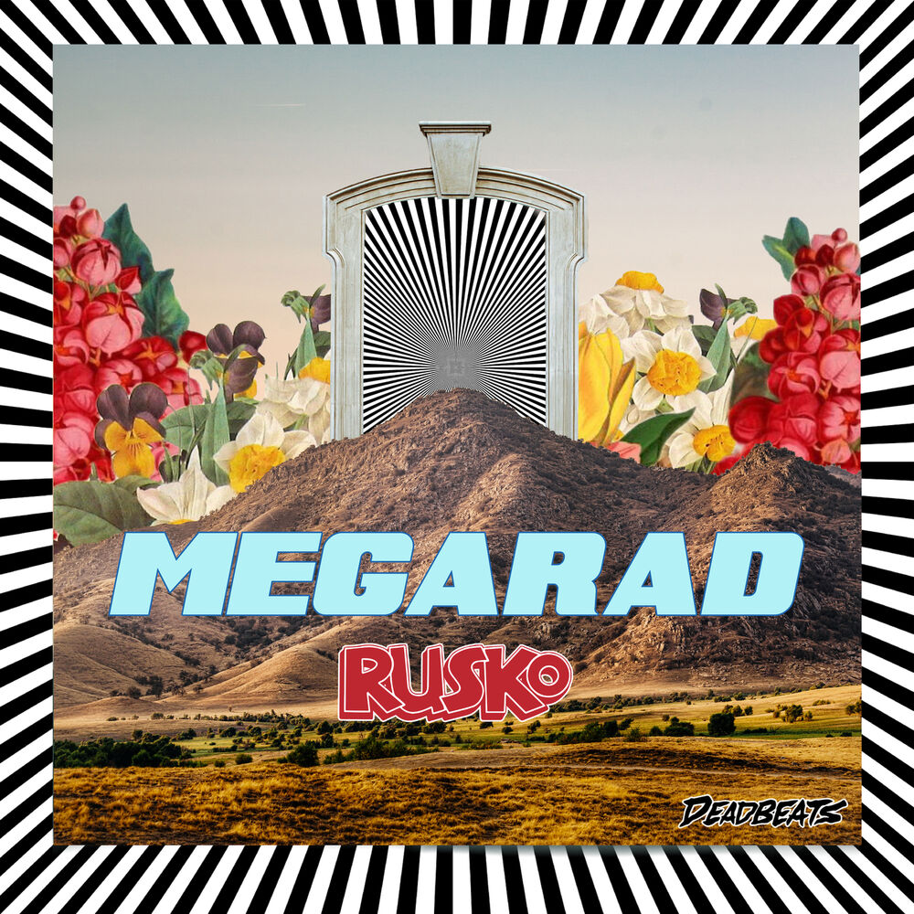 Picture of MEGARAD