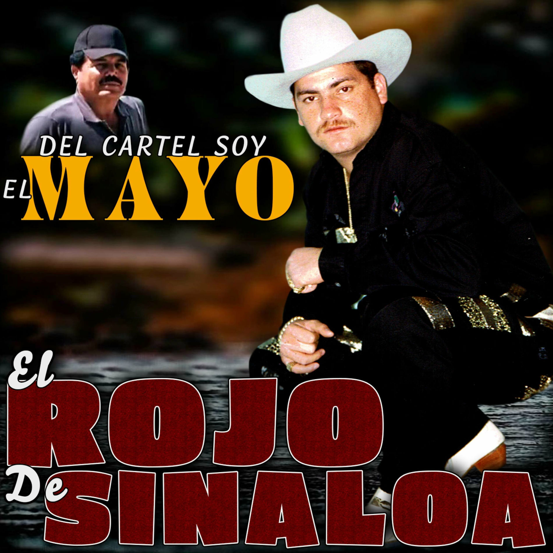 Album cover of Del Cartel Soy el Mayo