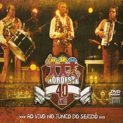 Cover of 40 Anos - Ao Vivo no Junco do Seridó