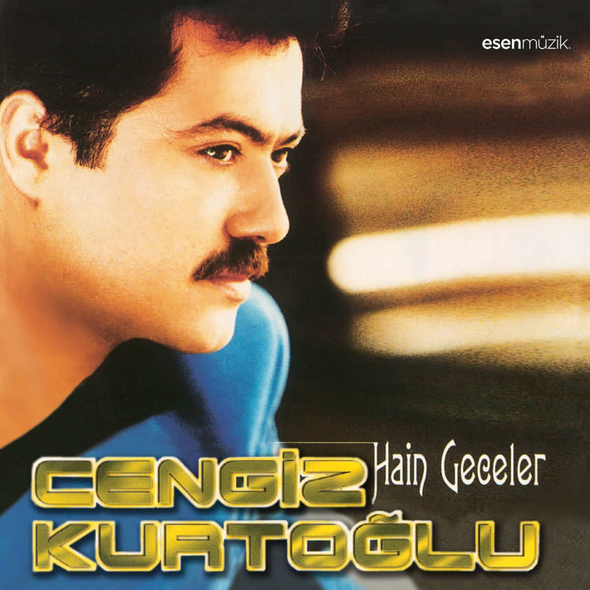 Album cover of Hain Geceler