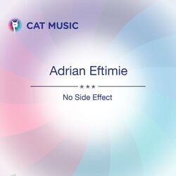 Cover of No Side Effect