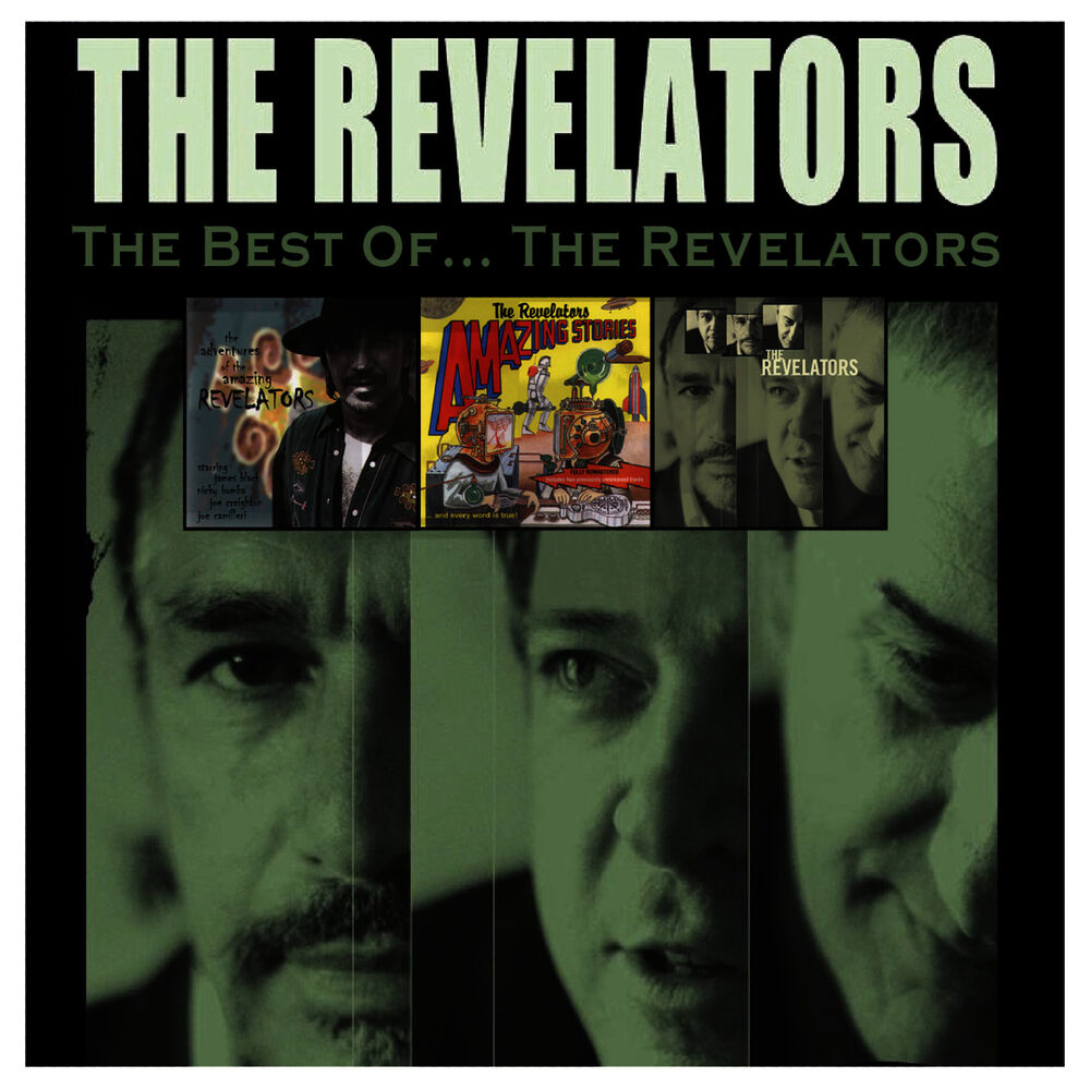 Picture of The Best of... The Revelators