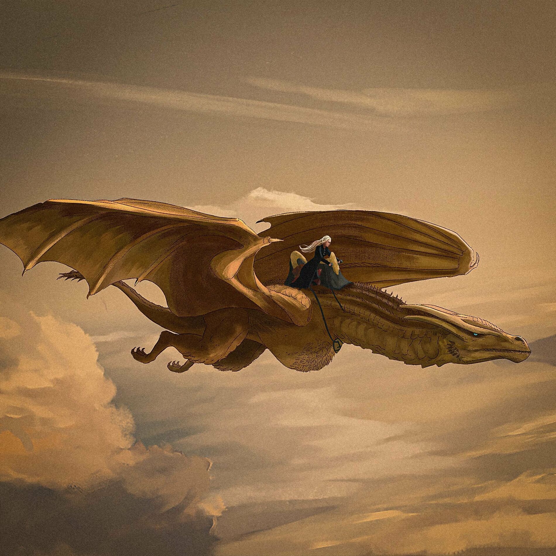 Album cover of House of the Dragon Lofi