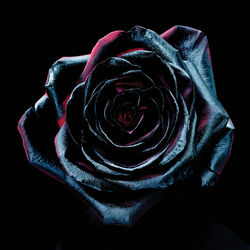 Cover of Change Colours