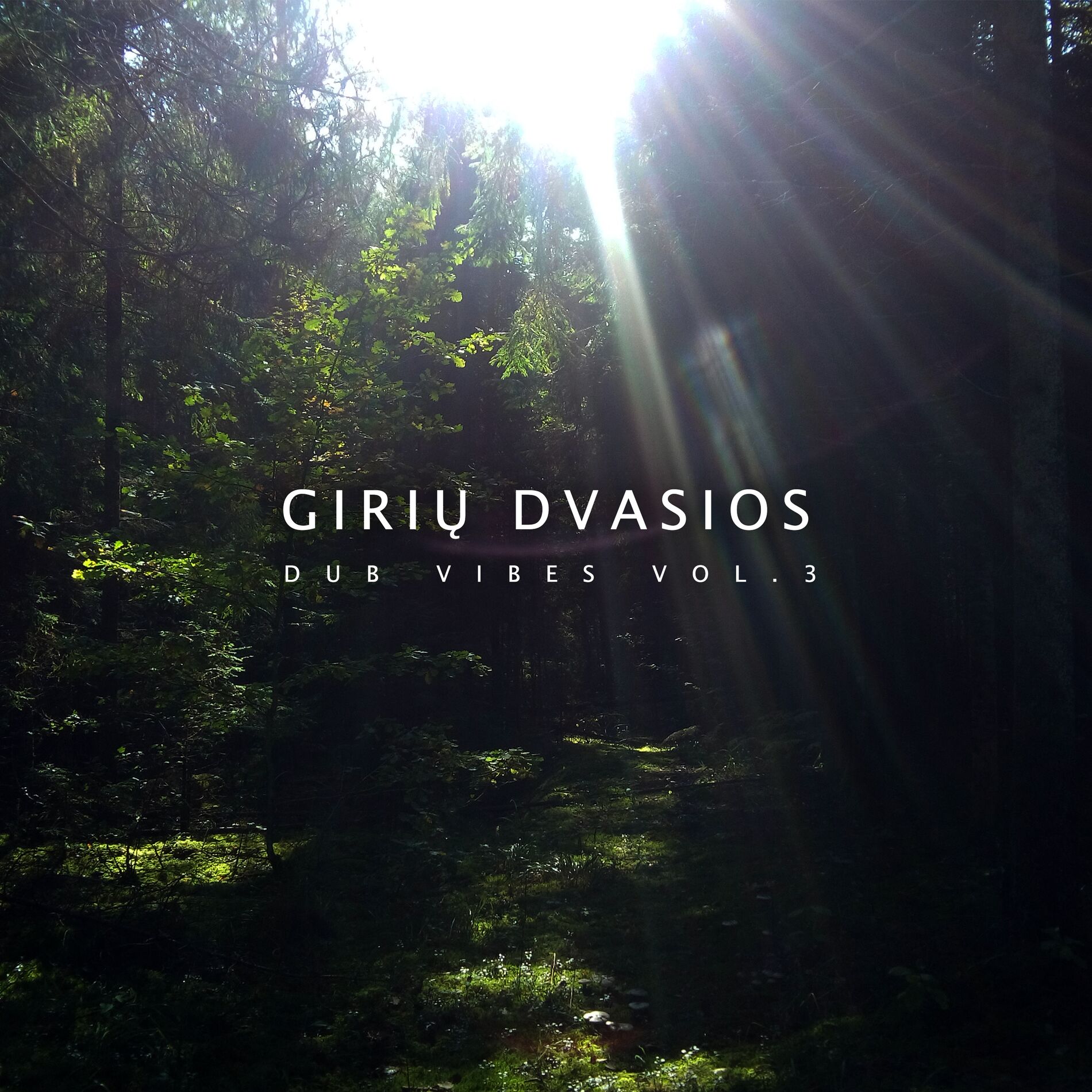 Album cover of Dub Vibes, Vol. 3