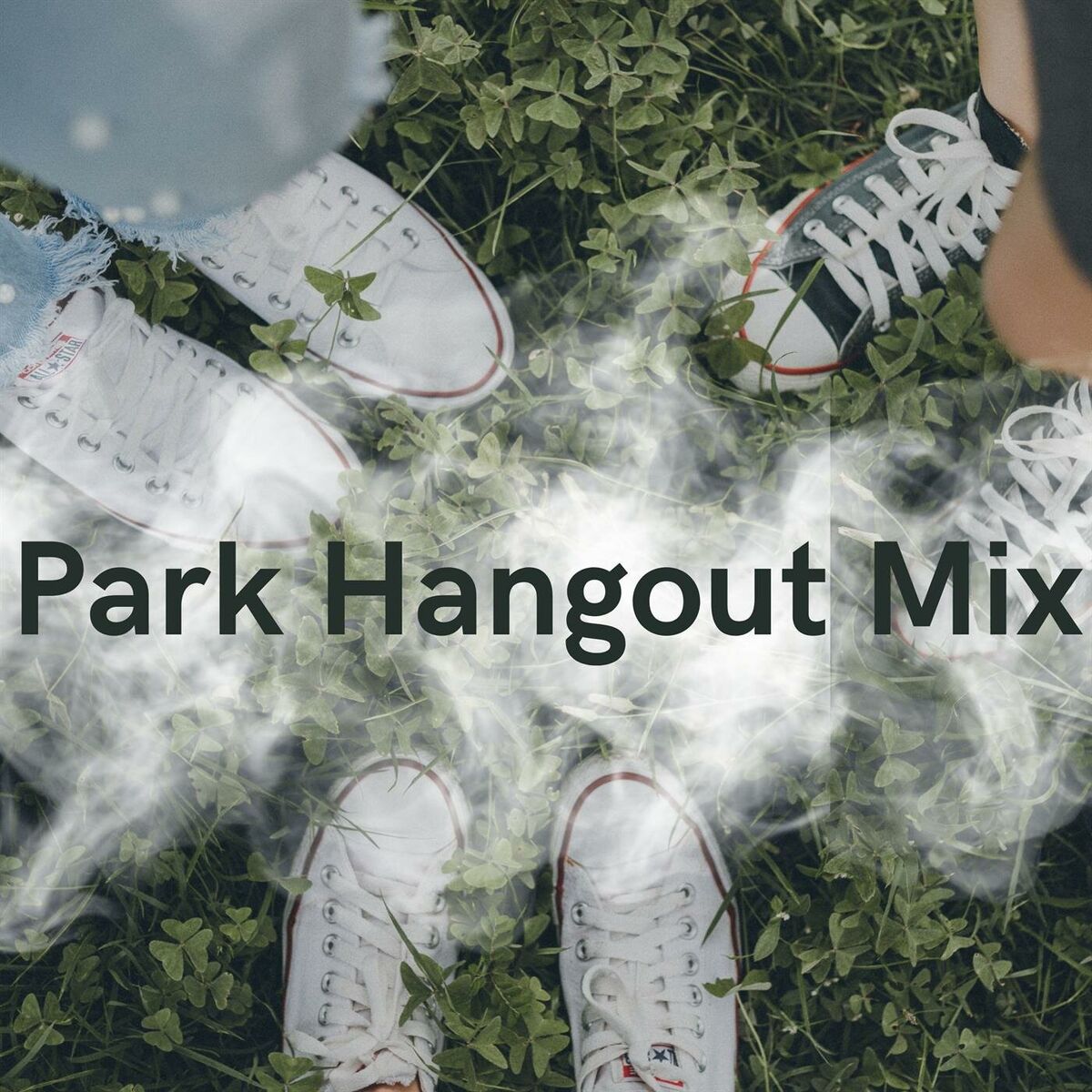 Album cover of Park Hangout Mix