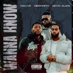 Cover of Wanna Know
