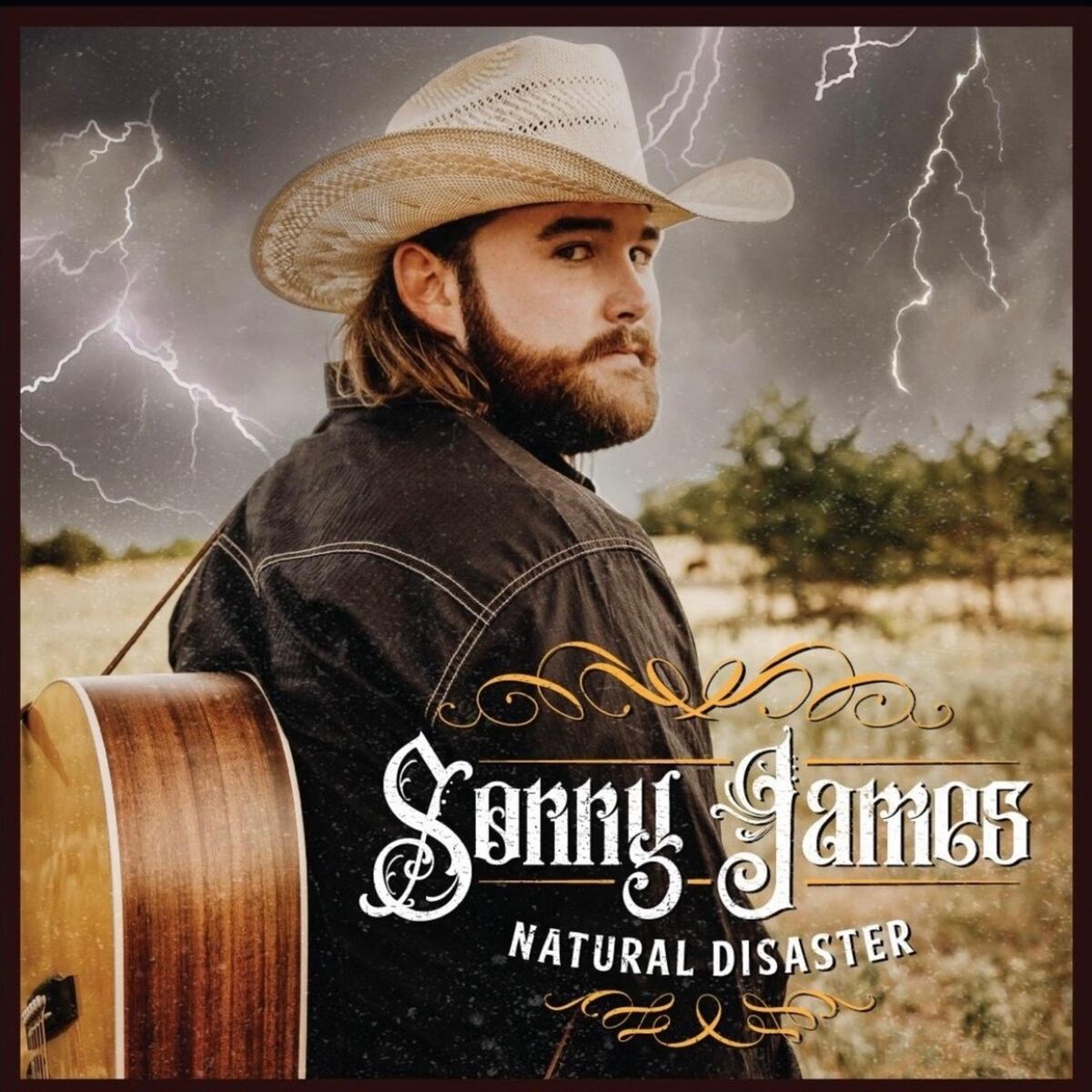 Album cover of Natural Disaster