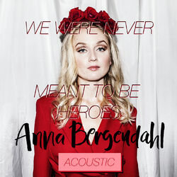 Cover of We Were Never Meant To Be Heroes (Acoustic Version)