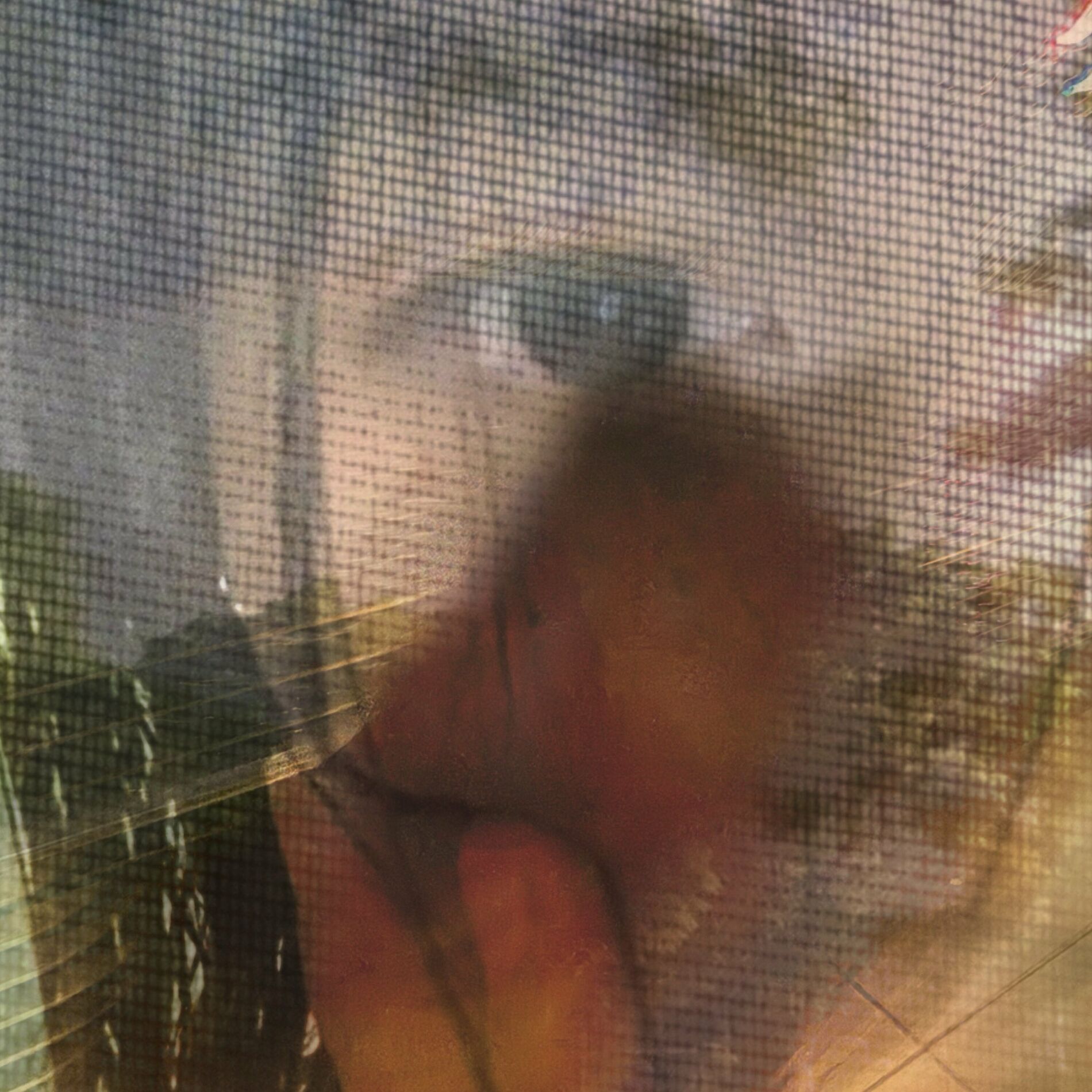 Album cover of painted skies