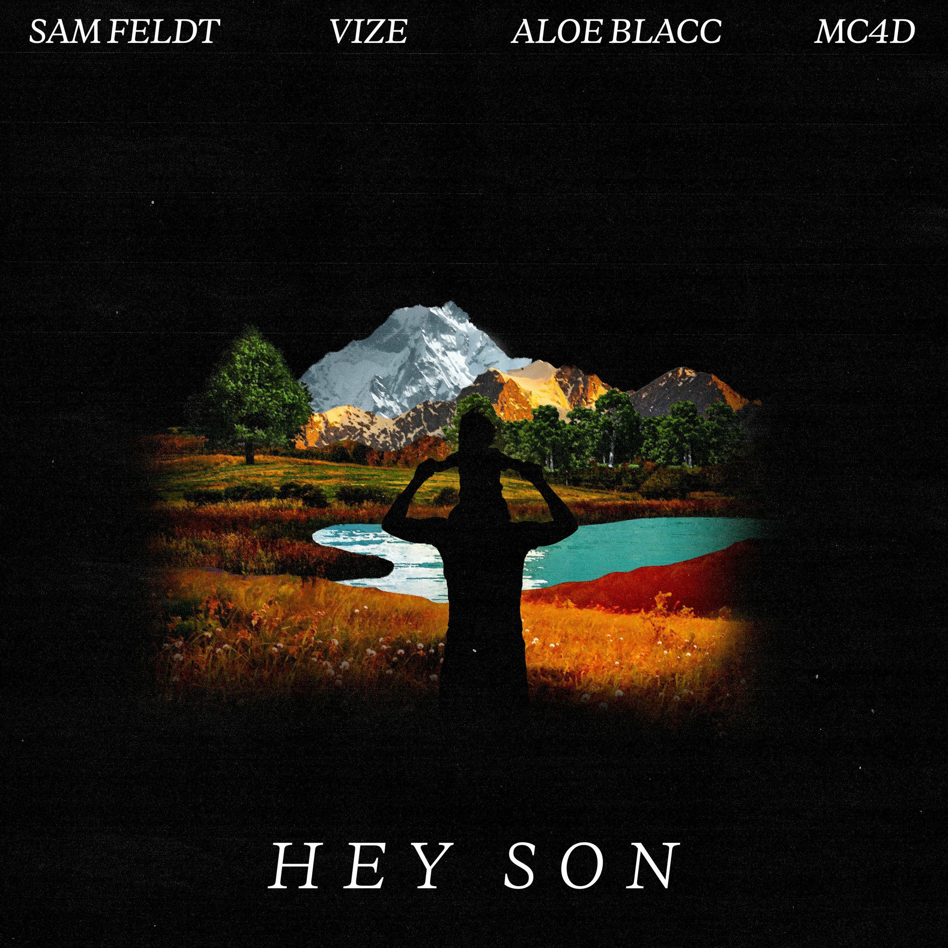 Album cover of Hey Son