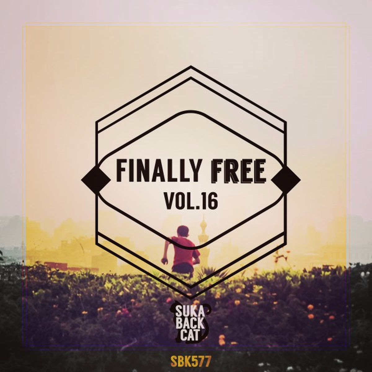 Album cover of Finally Free, Vol. 16