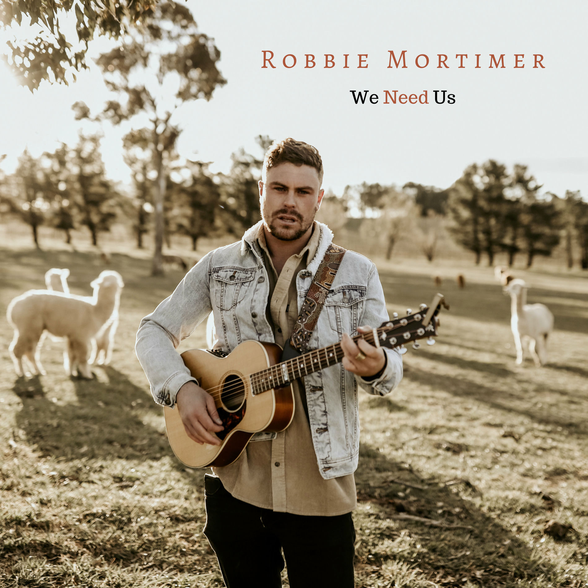 Album cover of We Need Us
