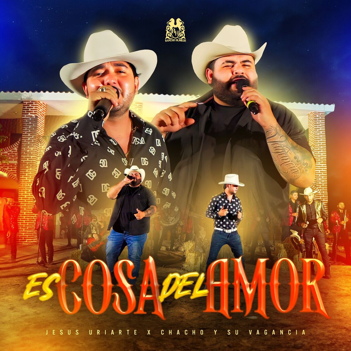 Album cover of Es Cosa Del Amor