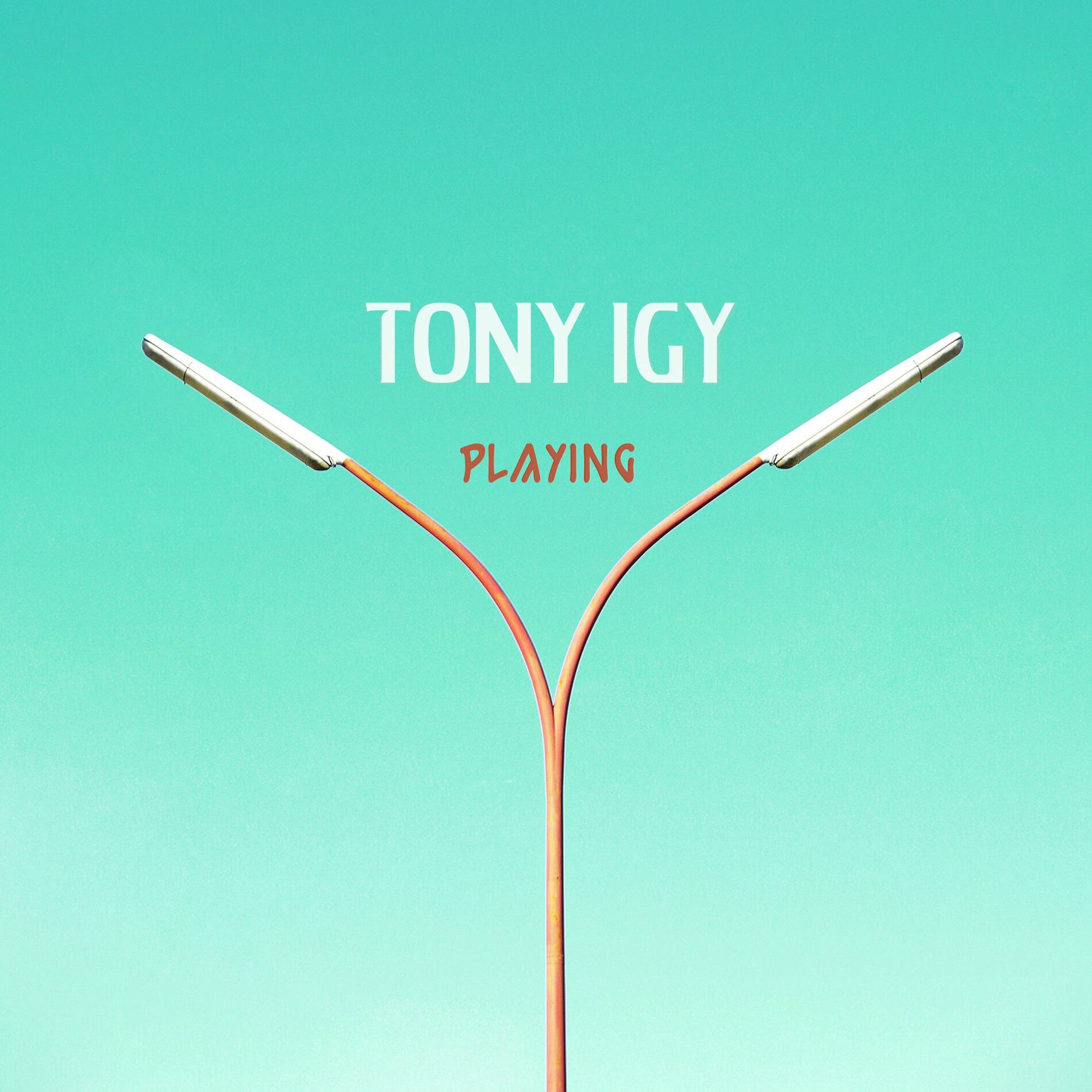 Album cover of Playing