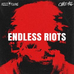 Cover of Endless Riots