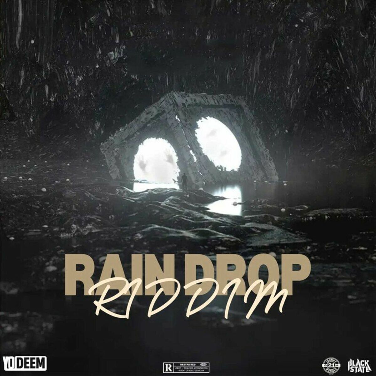 Album cover of Rain Drop Riddim