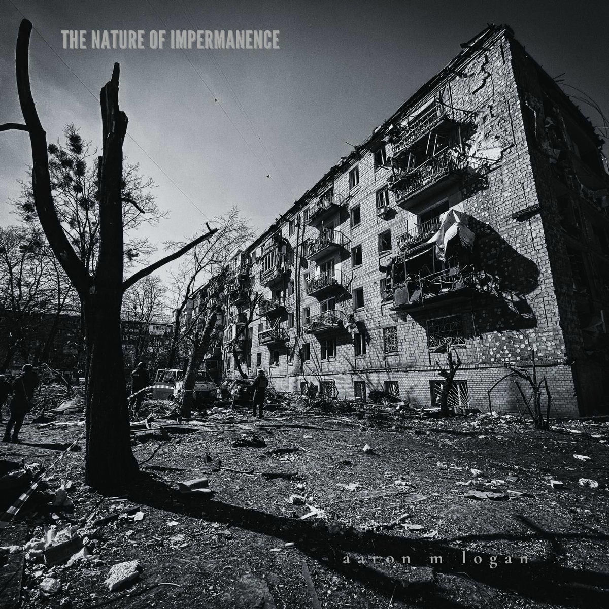 Album cover of The Nature of Impermanence