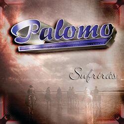 Cover of Sufrirás