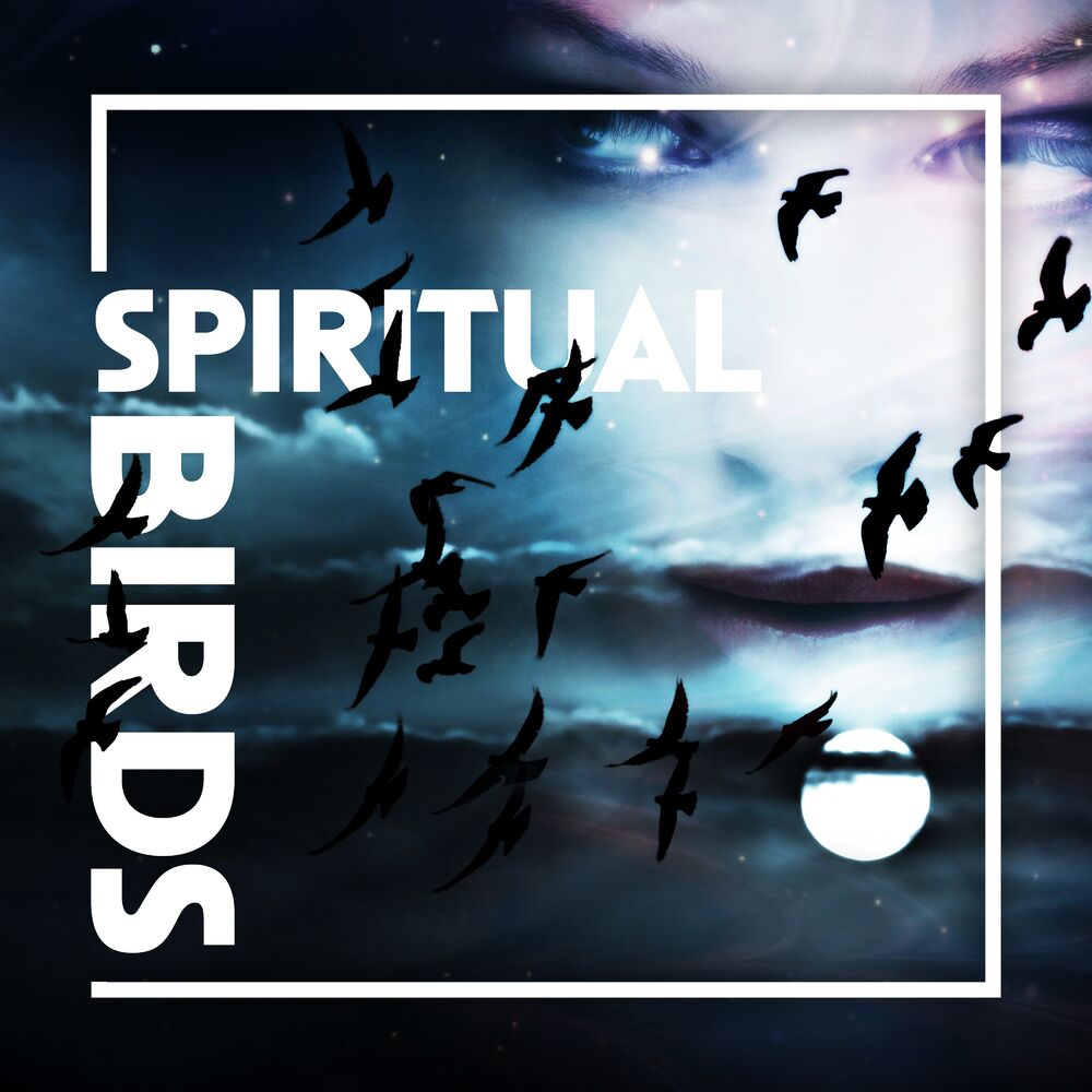 Picture of Spiritual Birds: Healing Shamanic Nature, Magical Animals for Good Sleep