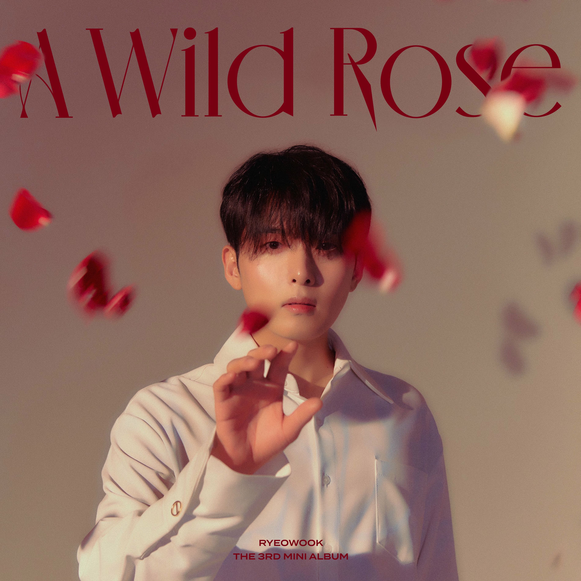 Ryeowook - 어린왕자 The Little Prince - The 1st Mini Album