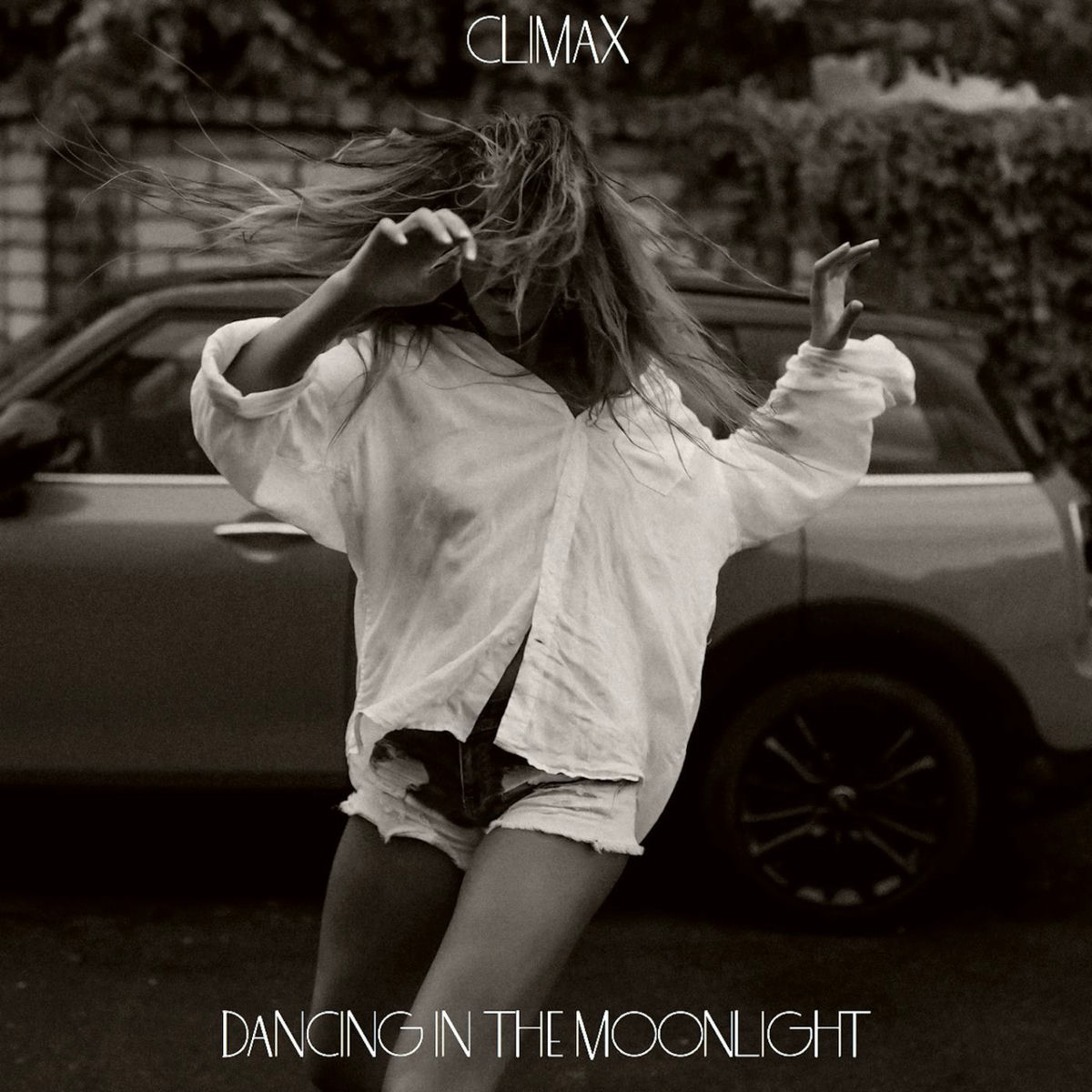 Album cover of Dancing in the Moonlight