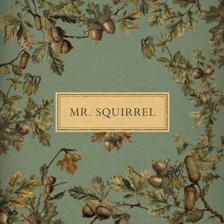 Cover of Mr. Squirrel