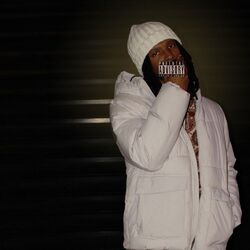 Cover of Excuse My Language