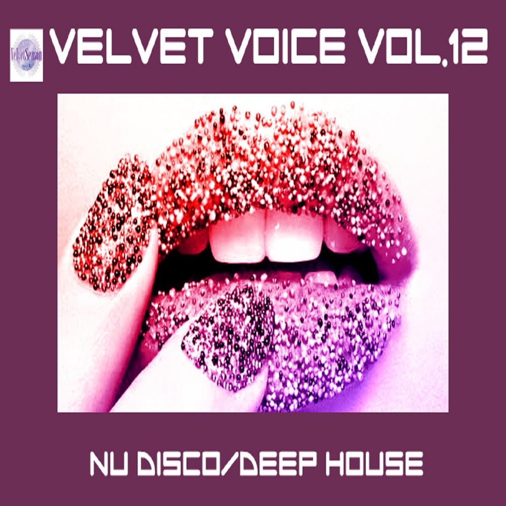 Picture of Velvet Voice VOL.12 [Nu Disco/Deep House]