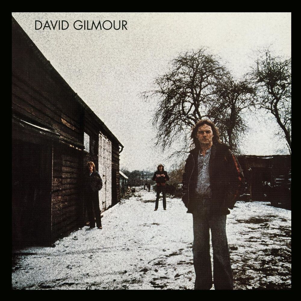Picture of David Gilmour