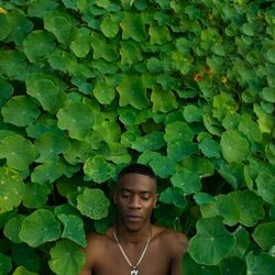 Cover of JúJú & The Flowerbug