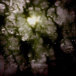Cover of Lucy (Hey,Hey!)