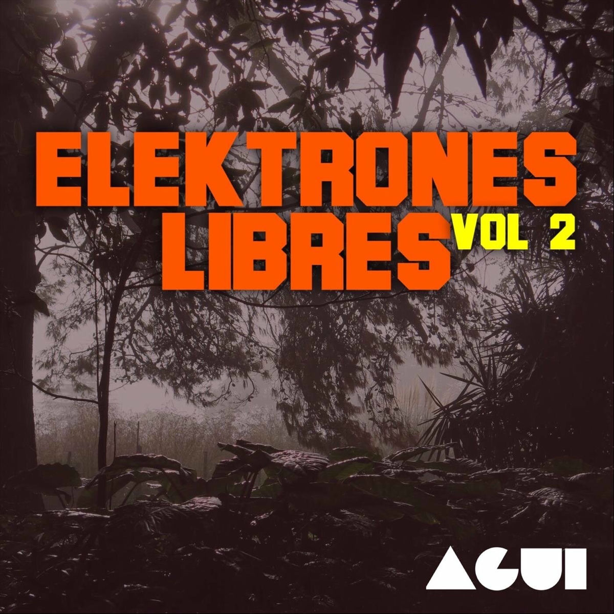 Album cover of Elektrones Libres, Vol. 2